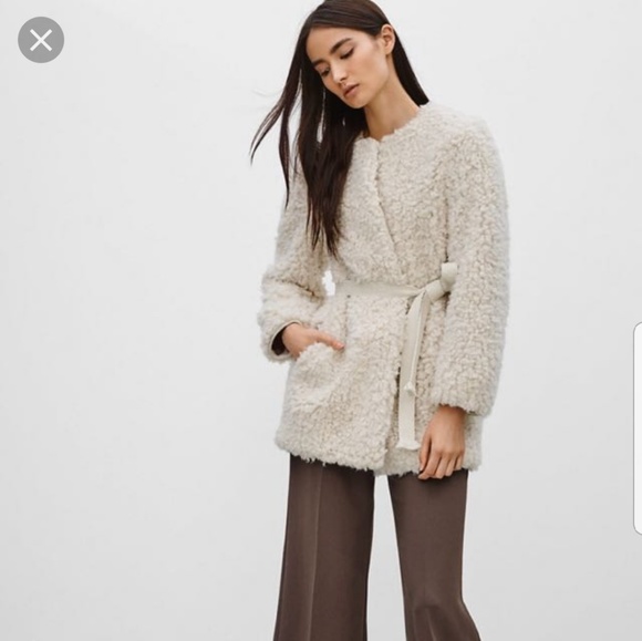 Aritzia Jackets & Blazers - Wilfred by Aritzia Laboratoire Coat